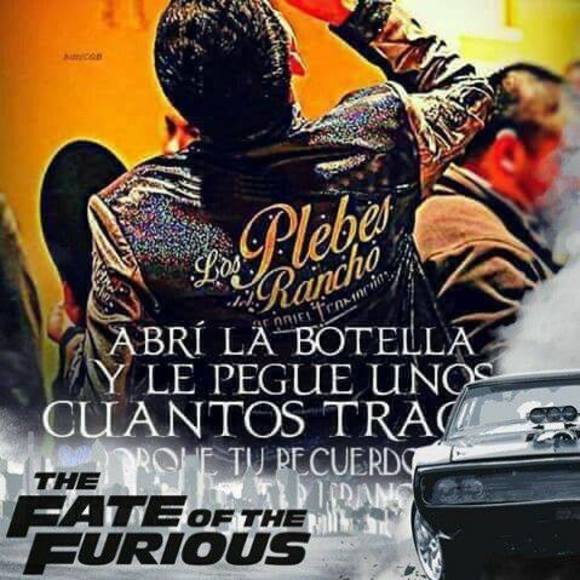 Meet your Posher, Everardo - Picture 1 of 1