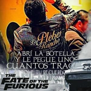 Meet your Posher, Everardo