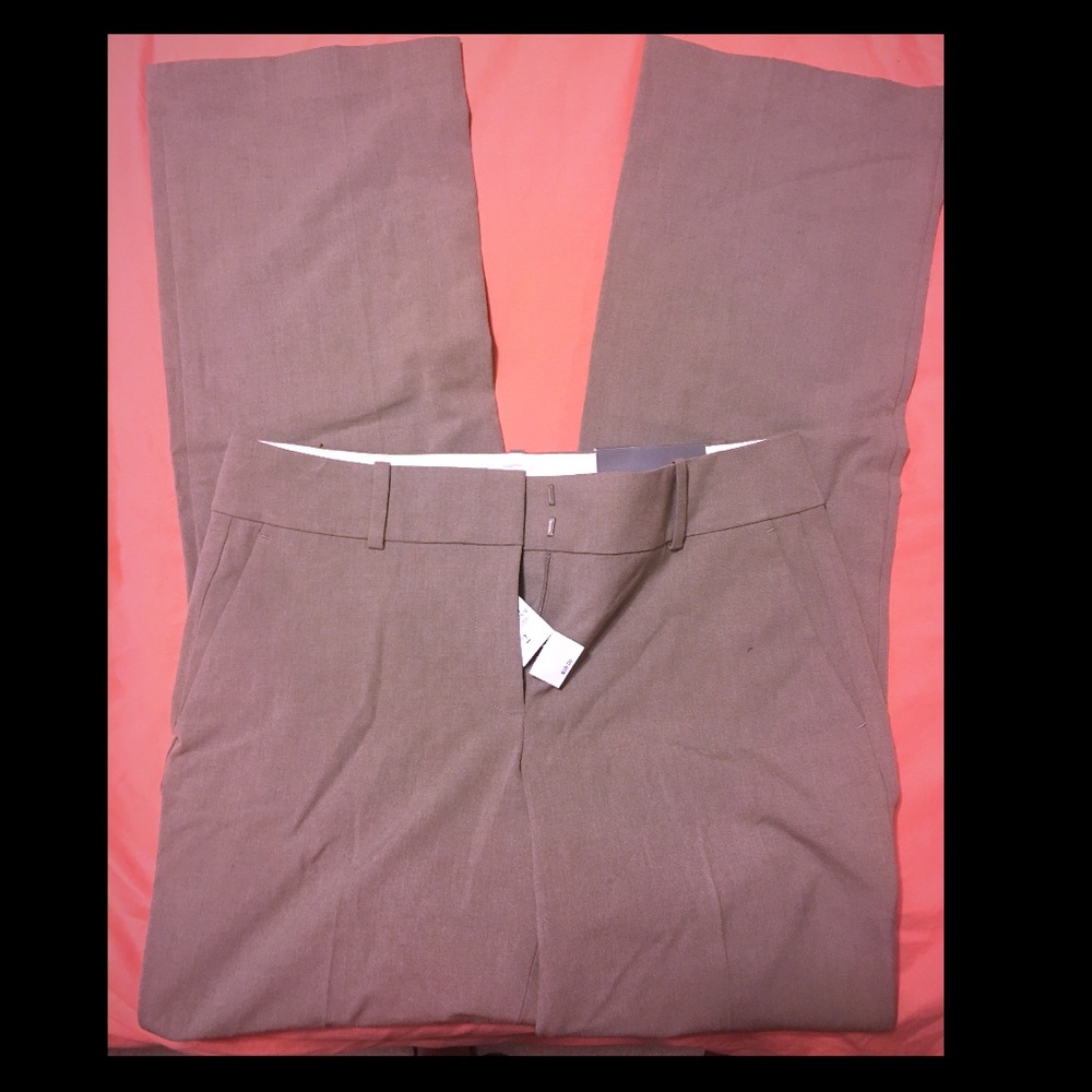 Ann Taylor Signature Fit pants