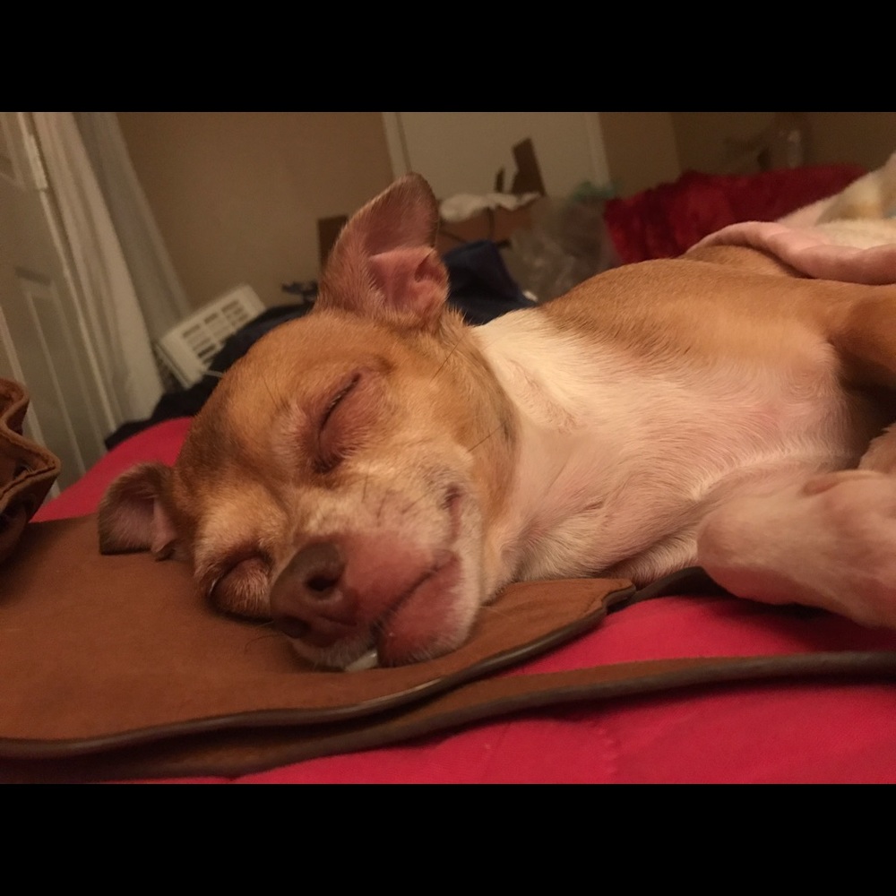 Meet your Posher, Dulce