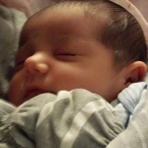 Meet your Posher, Donna