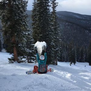 Meet your Posher, Crystal