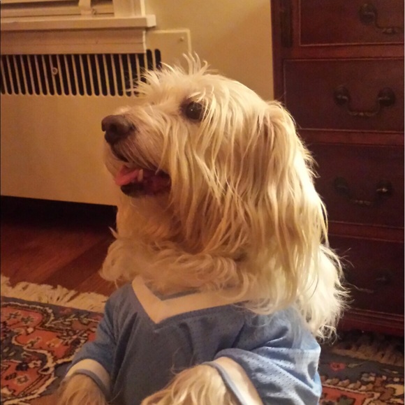 Meet your Posher, Robin - Picture 1 of 1