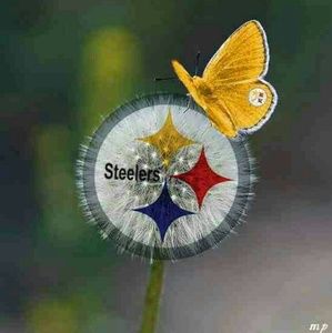 Meet your Posher, Chantell