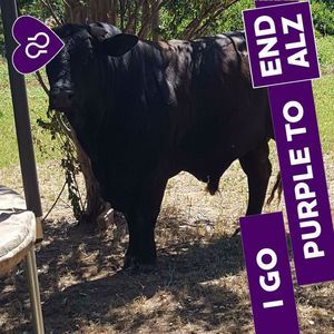 Meet your Posher, Jamie beauchamp