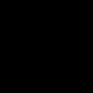 Meet your Posher, Alma