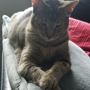 Meet your Posher, Ingrid