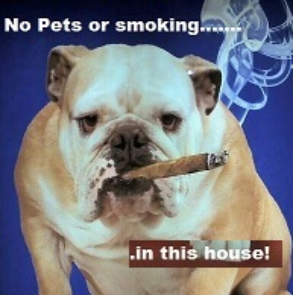 No pets or smoking or smoking pets!