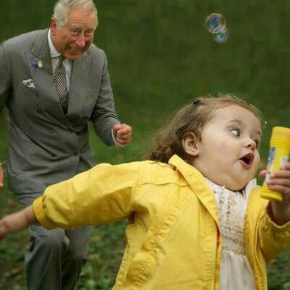 Meet your Posher, Nailah - Picture 1 of 1