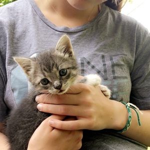 Meet your Posher, Catherine