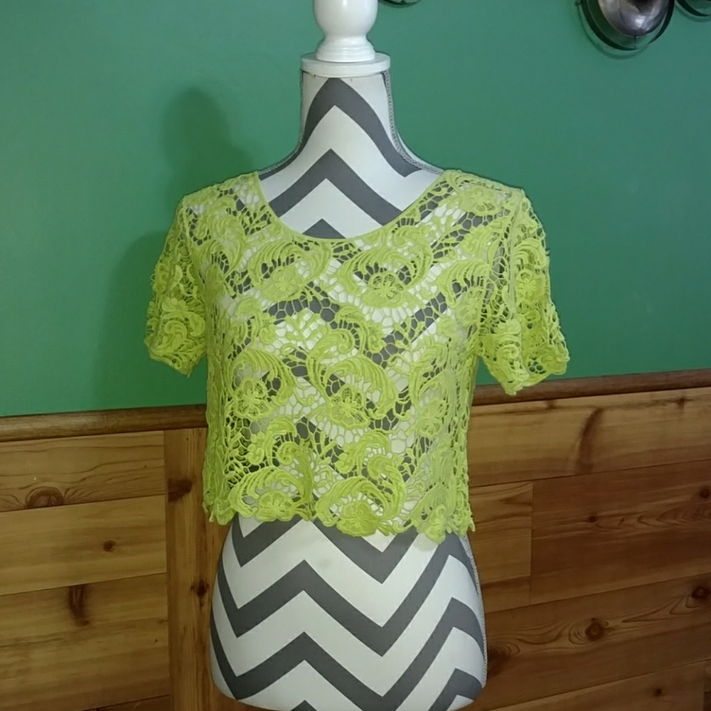 Demanding Designer Crop Top