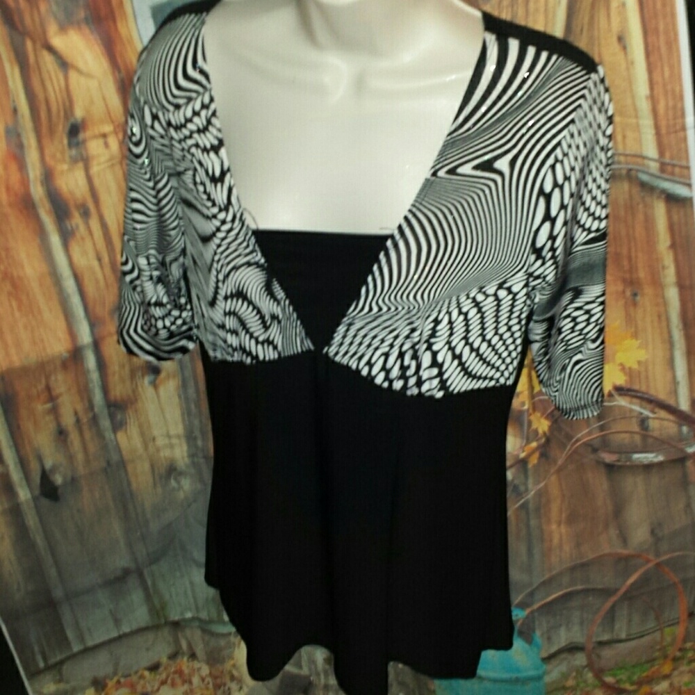 Ladies size Large top.