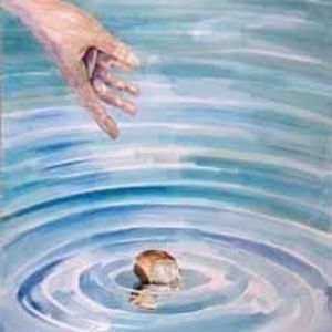 Meet your Posher, Barbara