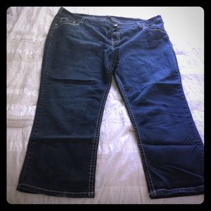 Lane Bryant - Jeans - Denim - Boot Cut - Size 24