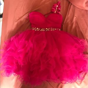 Let's Fashion Fushia Dress