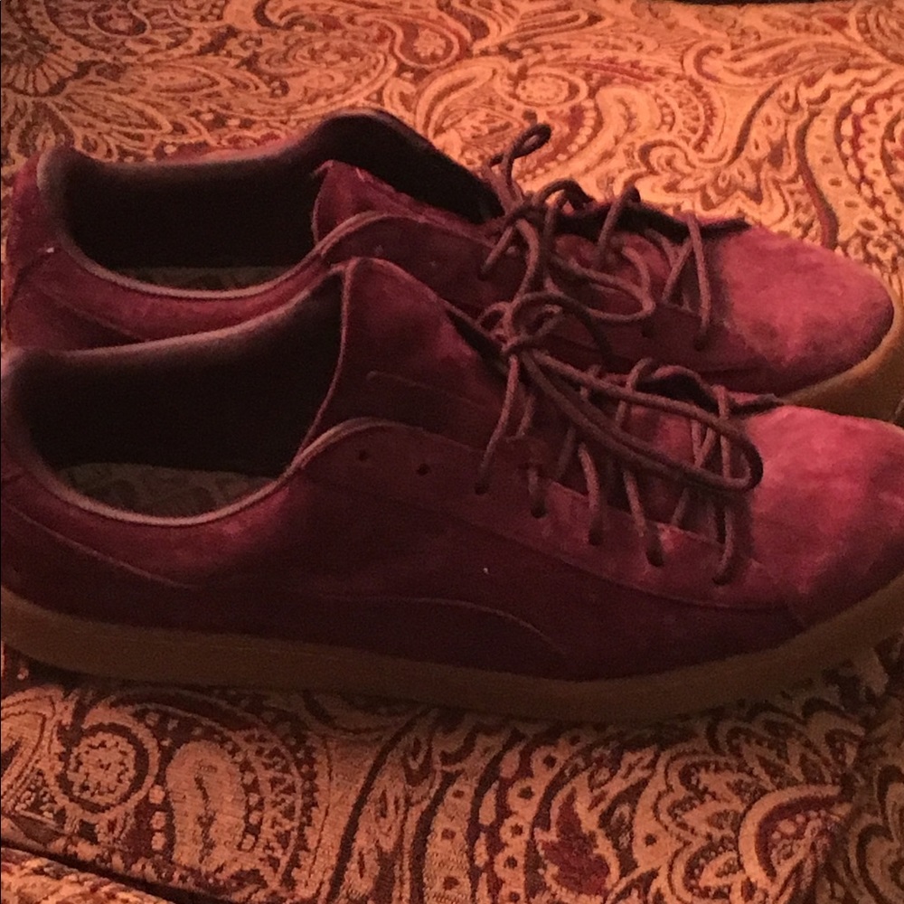 Pumas