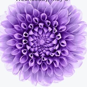 Meet your Posher, Camille