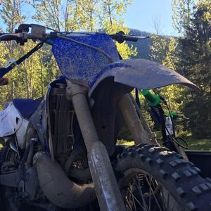 Meet your Posher, Dawson