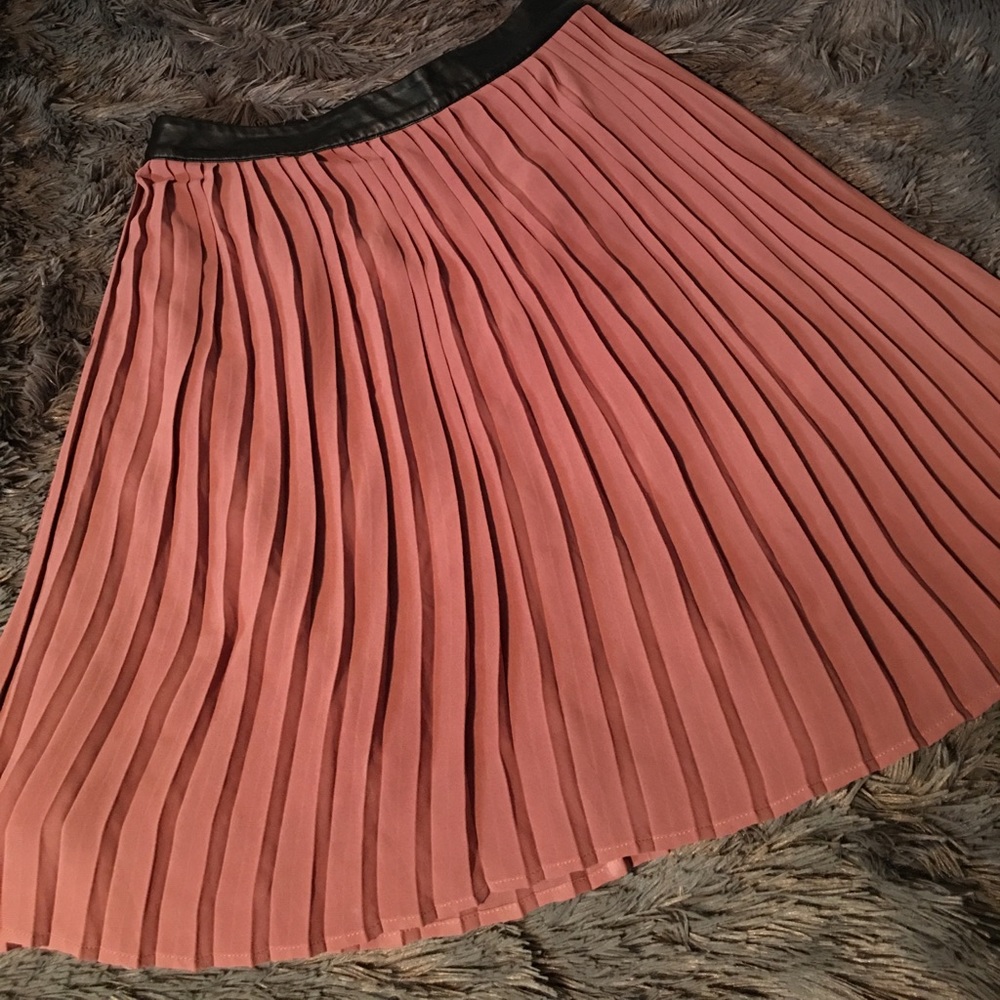 Pleated Chiffon Skirt