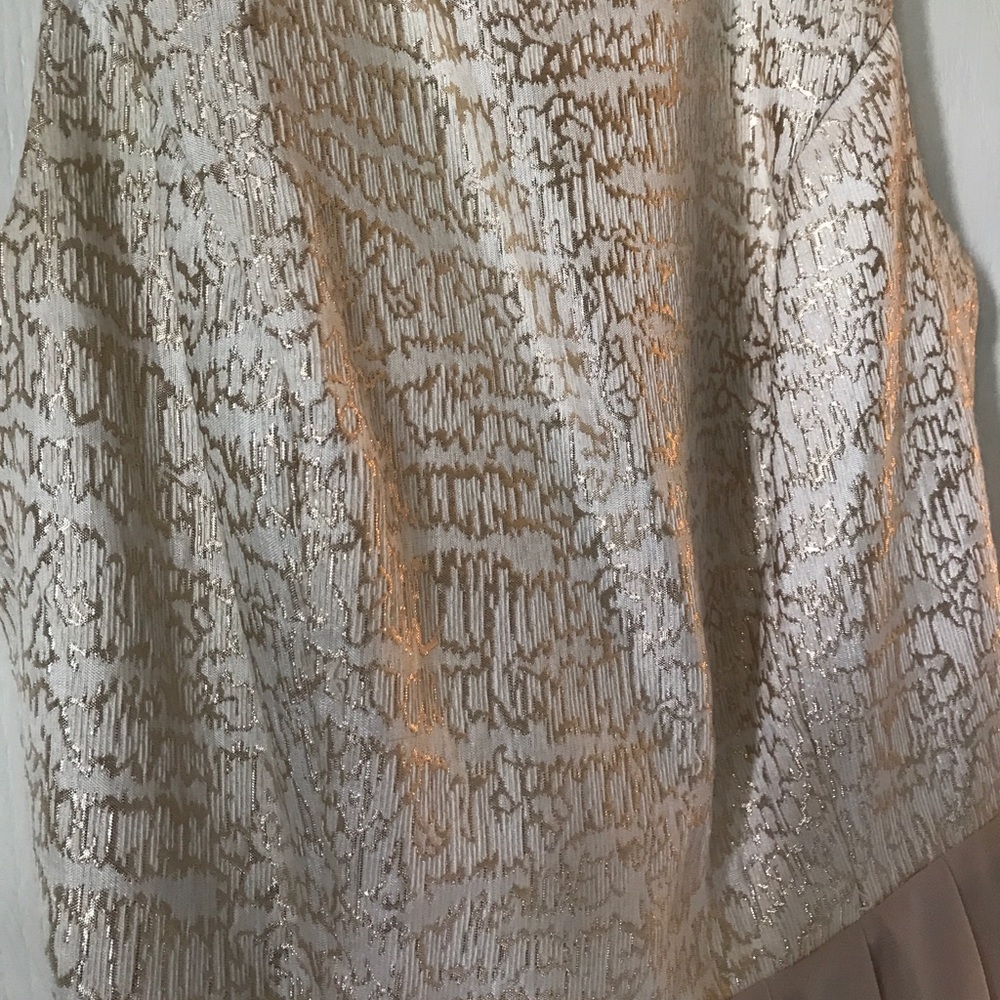 Francesca's Formal Dress - Picture 4 of 4