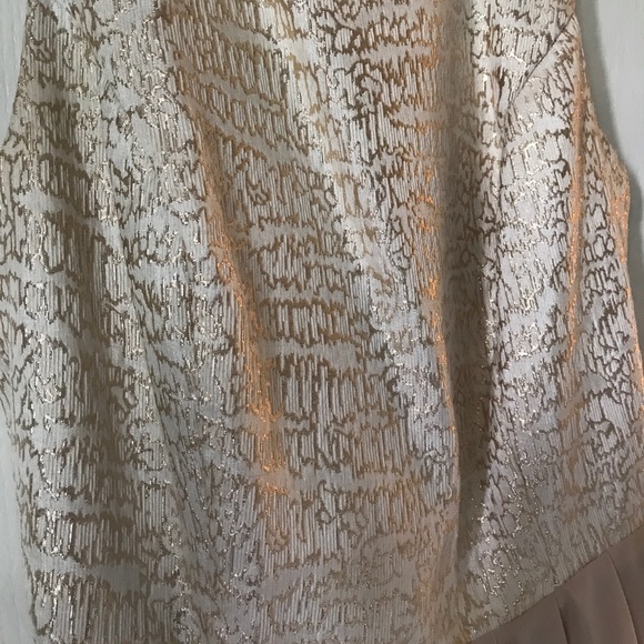 Francesca's Formal Dress - Picture 4 of 4