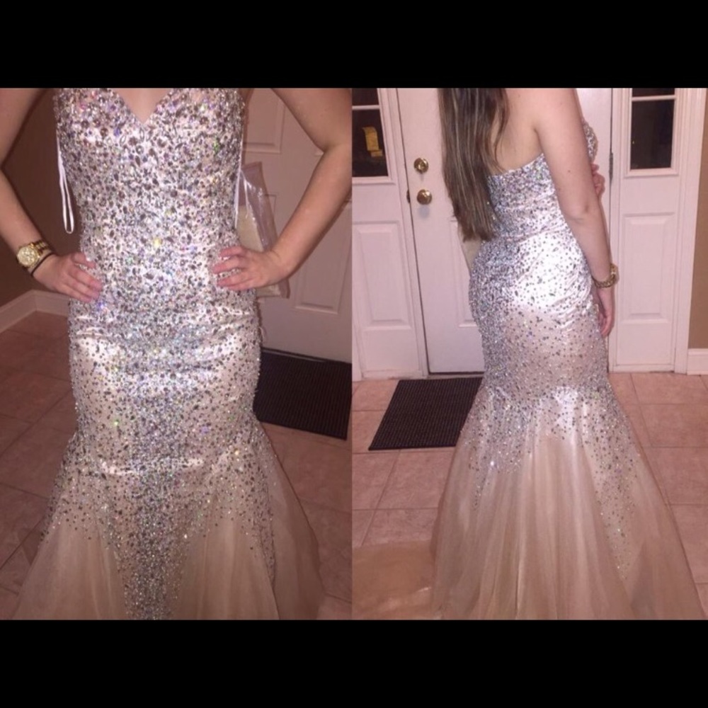 Terani dress