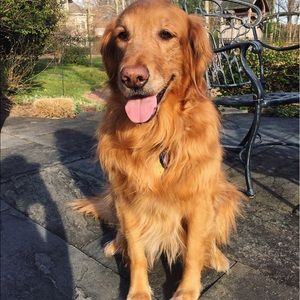 Meet your Posher, Rachel