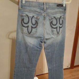 Designer Premium Denim by Express Jeans