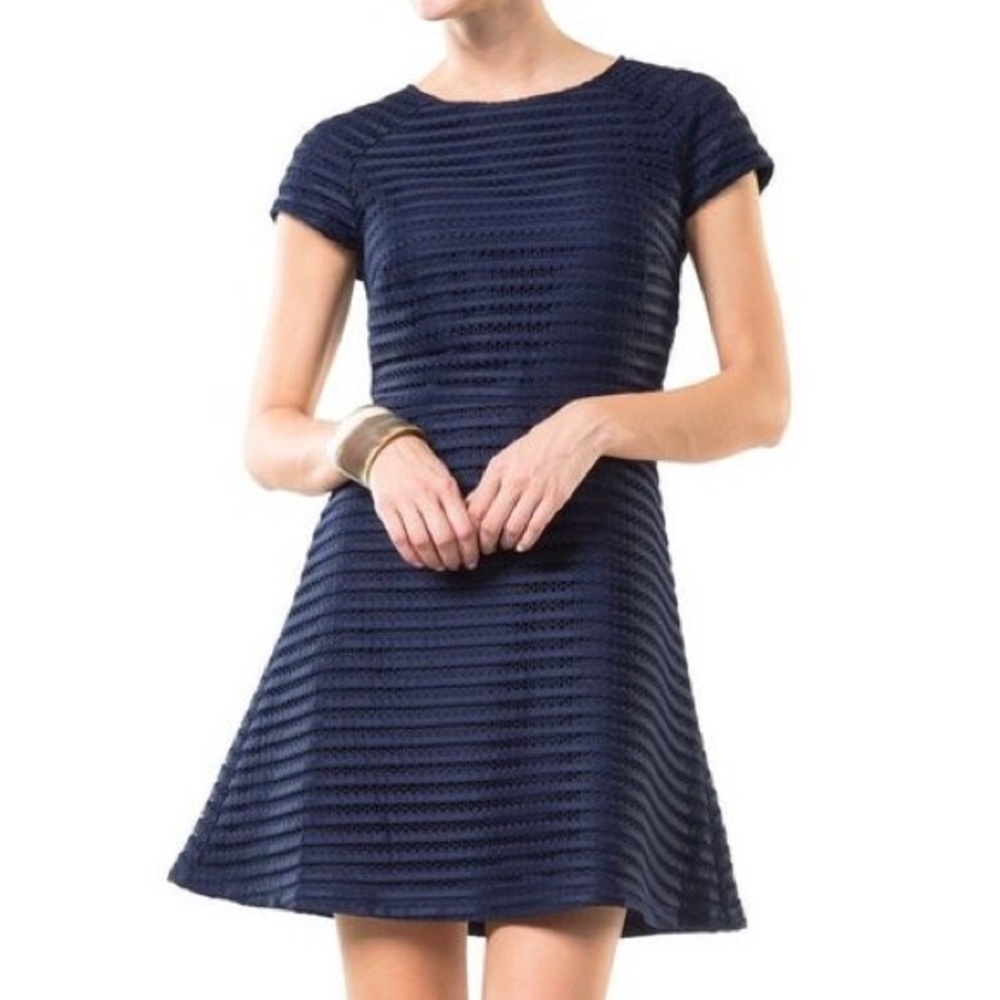 BNWT Sail to Sable Mesh on Madison Flare Dress