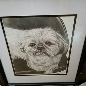 Meet your Posher, Rose