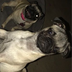 Meet your Posher, Elda