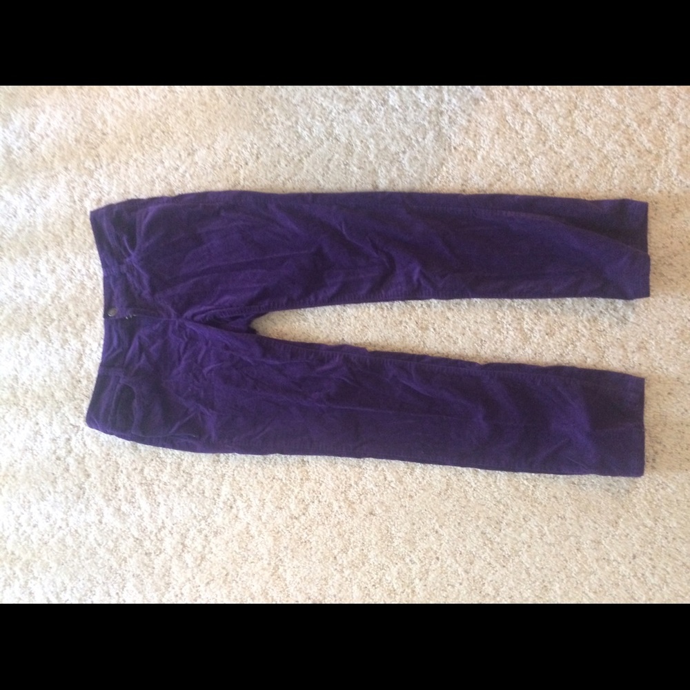 Loft purple velvet material size 4P