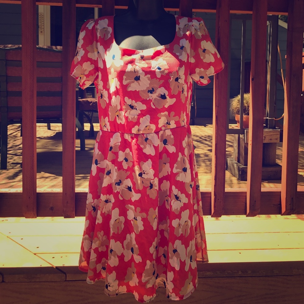 Amazing Alya Sundress!