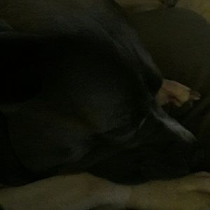 Meet your Posher, Tonya