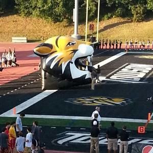 Meet your Posher, Shirley