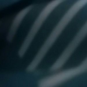 Meet your Posher, Kassidy