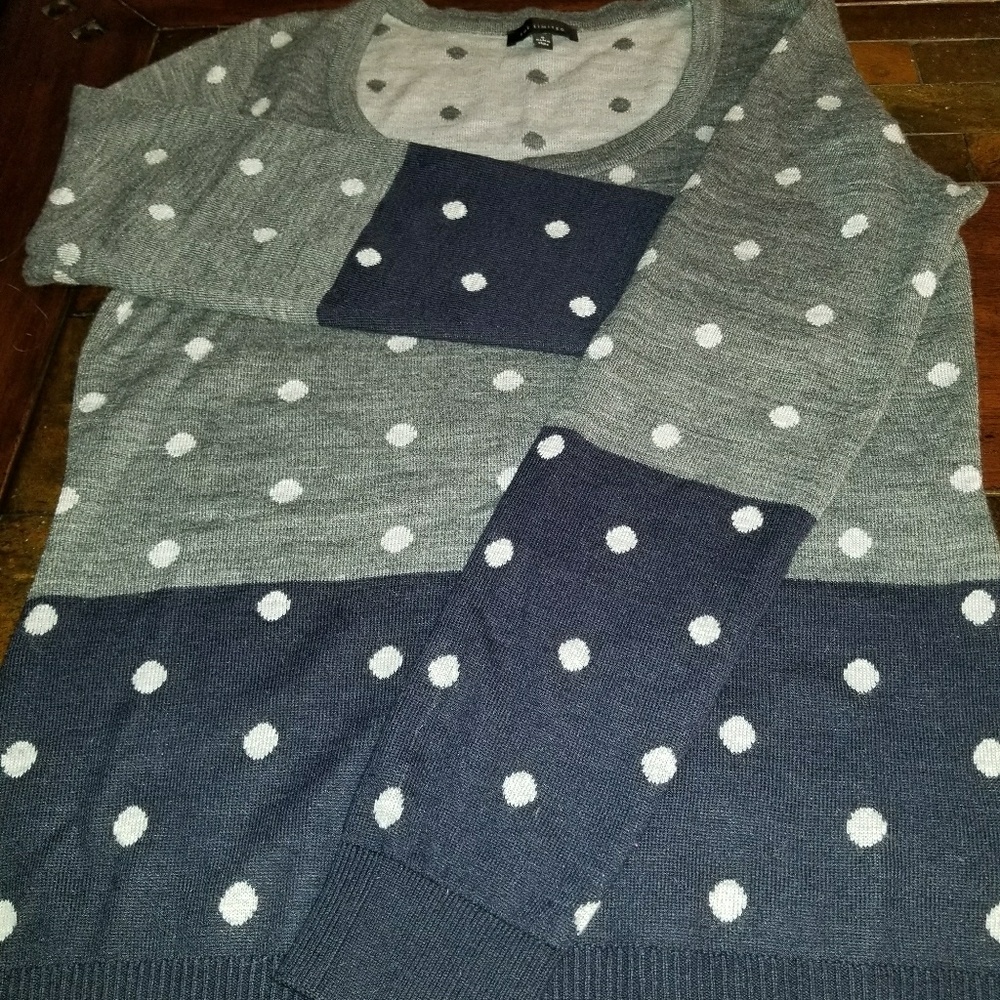 The Limited sweater