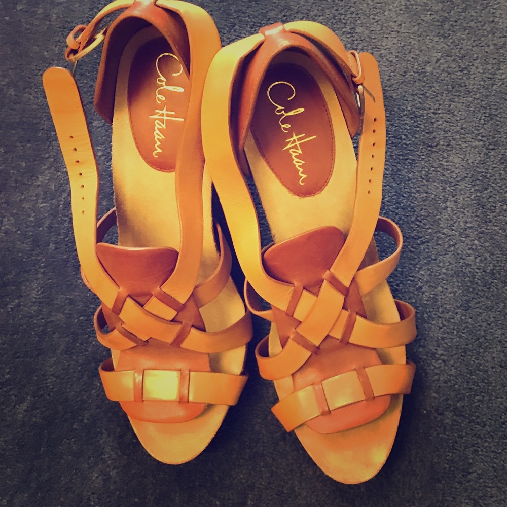 Brown Nike Air Cole Haan Platform Sandals
