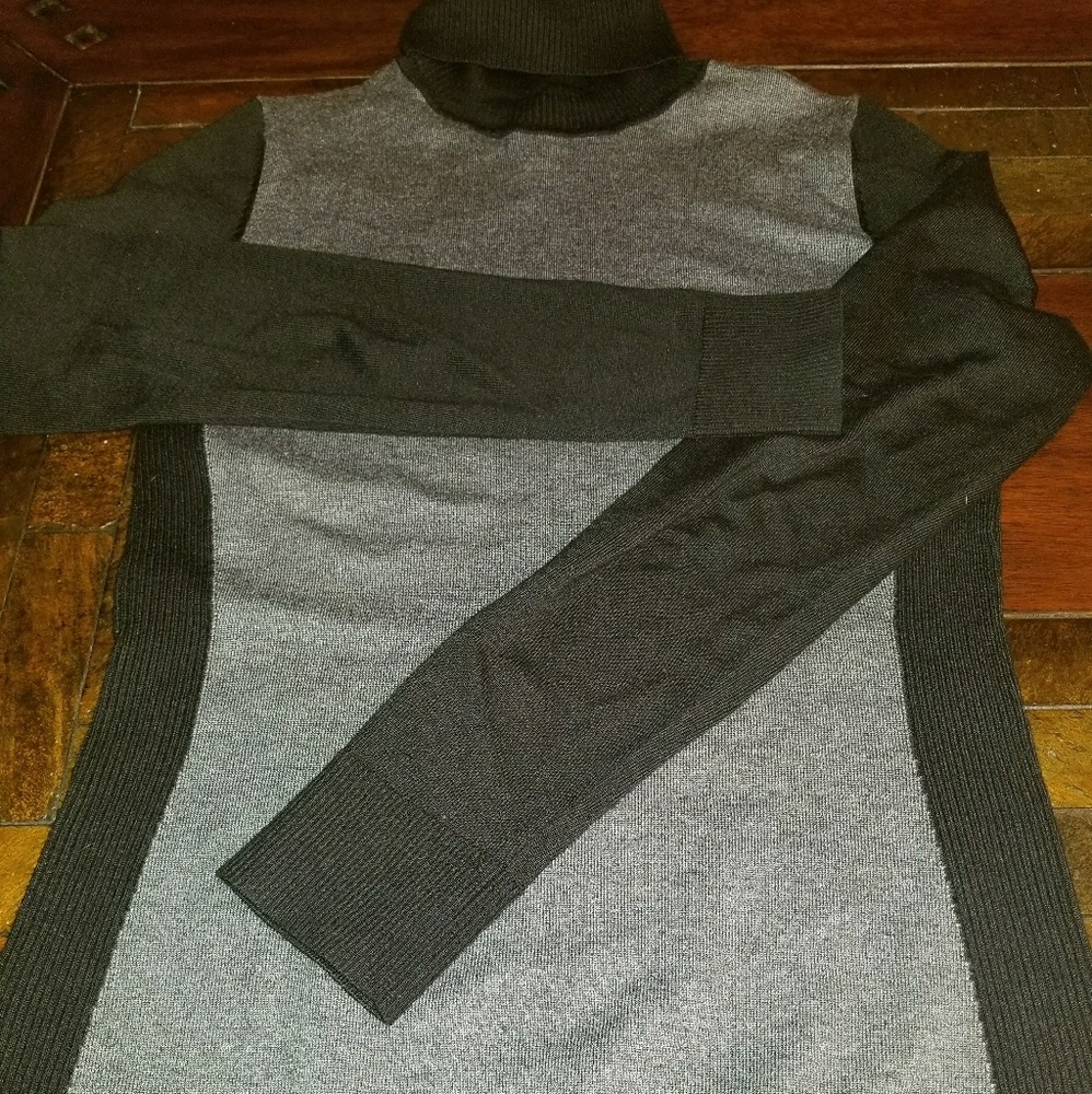 The Limited sweater turtle neck