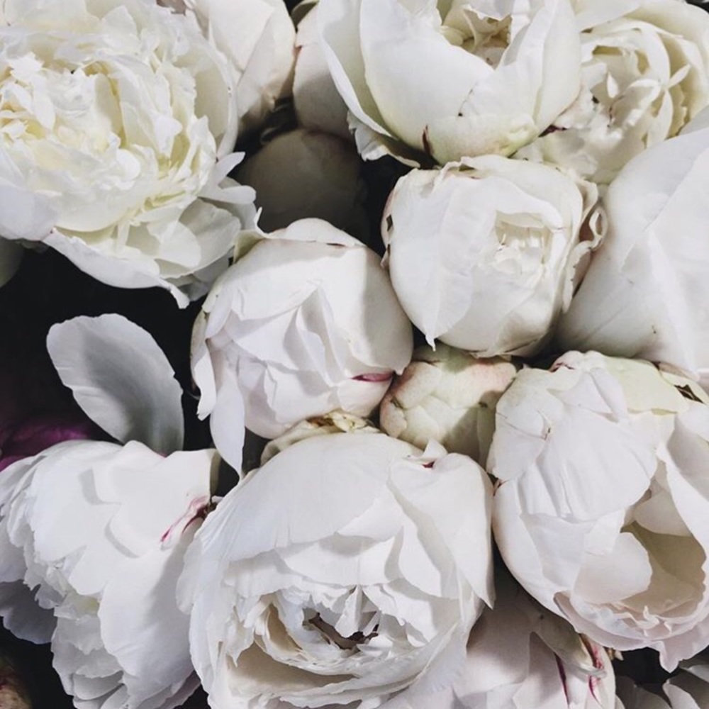 Closet Clean Out...Make Me an Offer!🛍