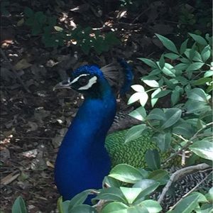 Meet your Posher, Kerry