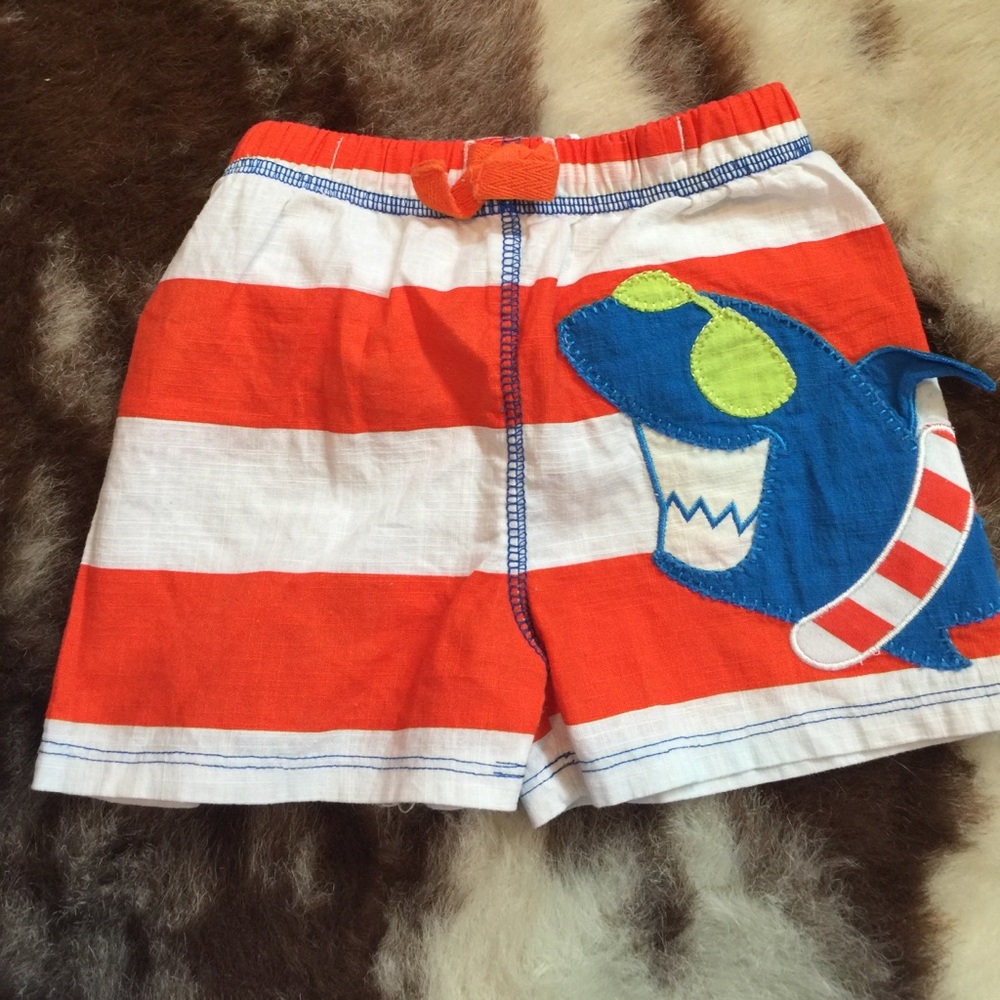 Mudpie little boys swim trunks