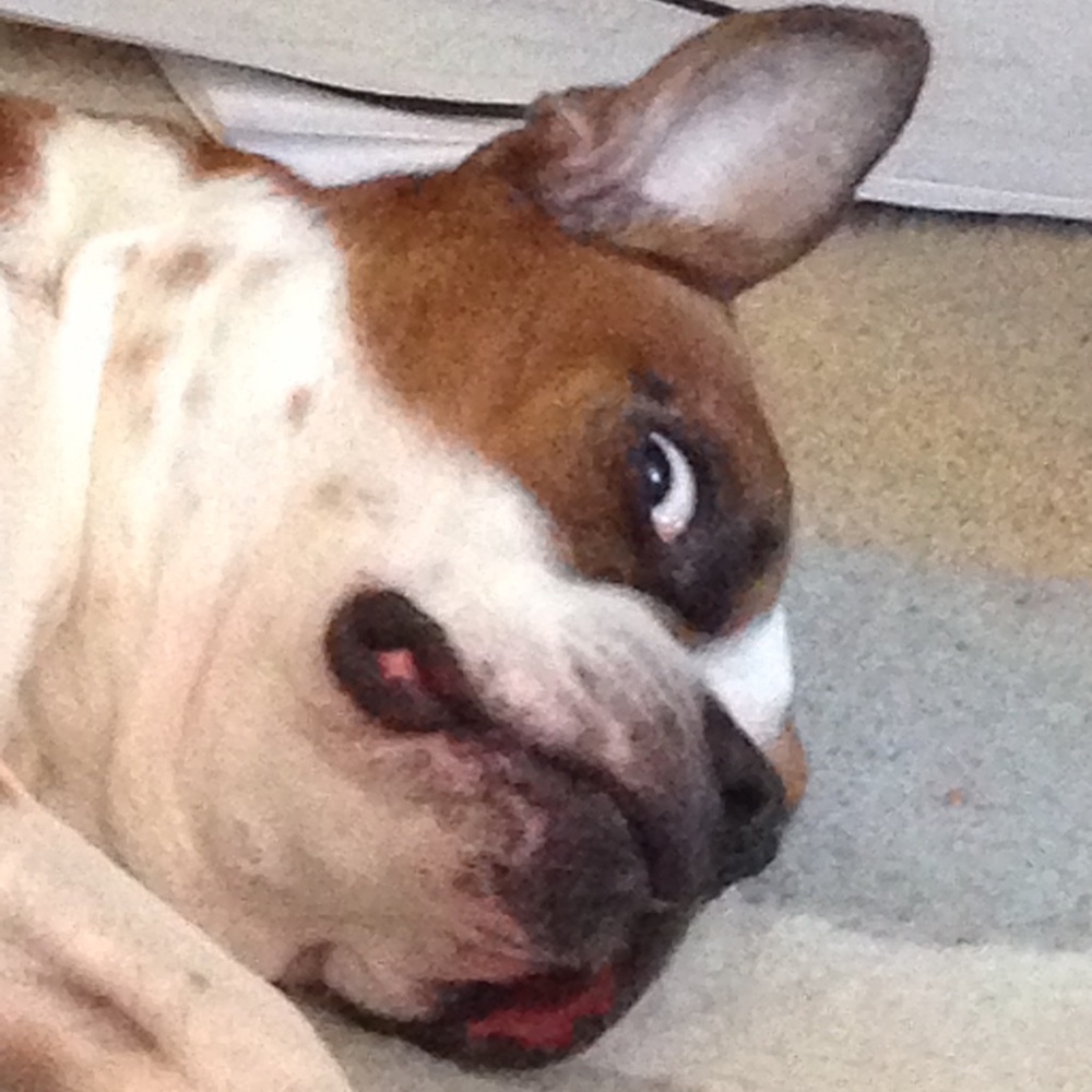 Meet your Posher, Arianna