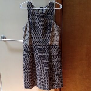 Navy and cream dress from loft, size 6