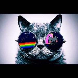 Meet your Posher, Fred