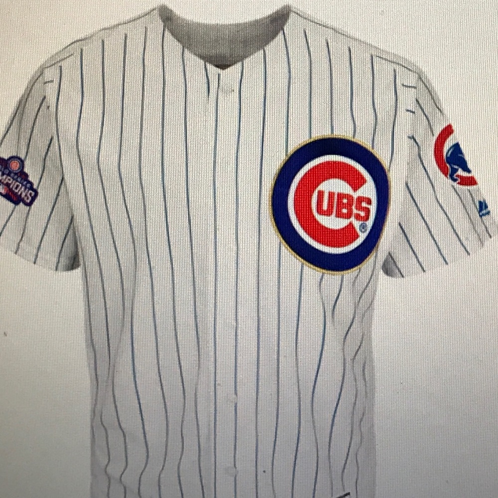 Chicago Cubs Anthony Rizzo 2017/ Players Jersey