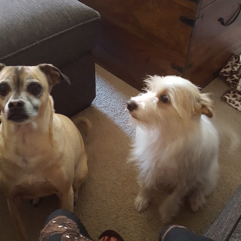 Meet your Posher, Rosemary