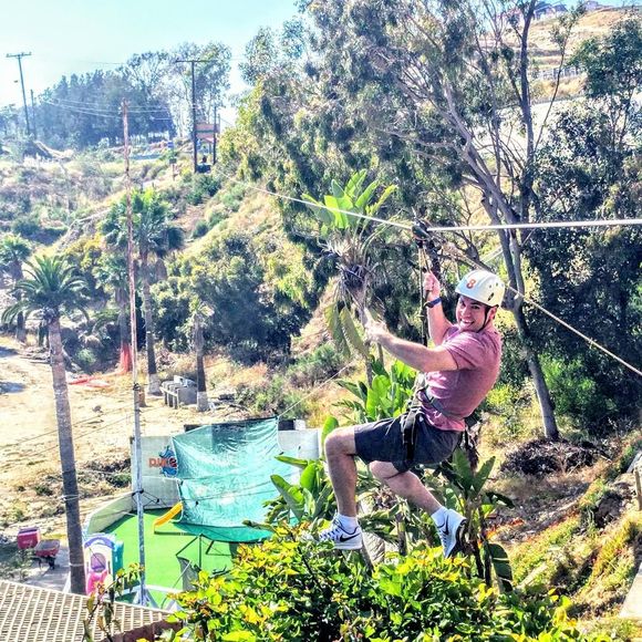 Meet your Posher, Benjamin - Picture 1 of 1