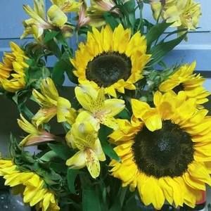 Meet your Posher, Penny