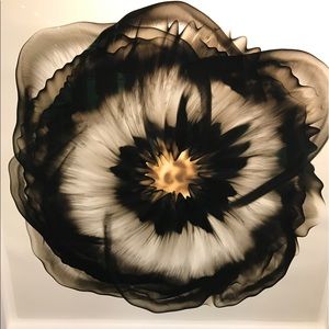 Meet your Posher, Nikki